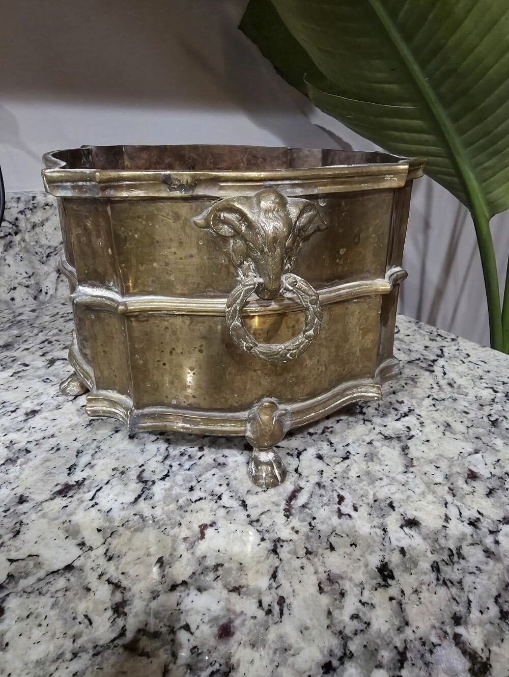 Vintage Mottahedeh Design Brass Plant Holder w/ Ram Head Handles